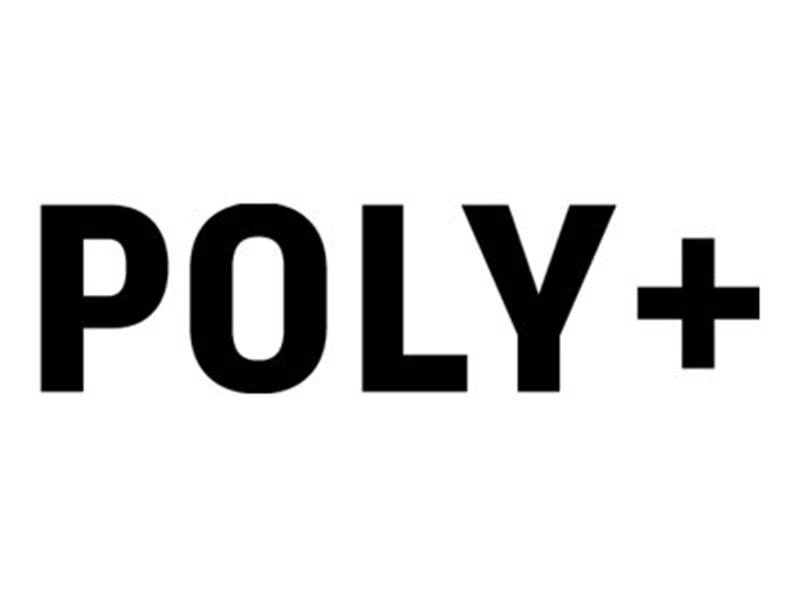 POLY Plus 1Y CCX 500 Business Media