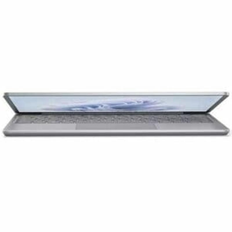 LPTP Go3 i5 8 128 W11 QWERTY Platinum