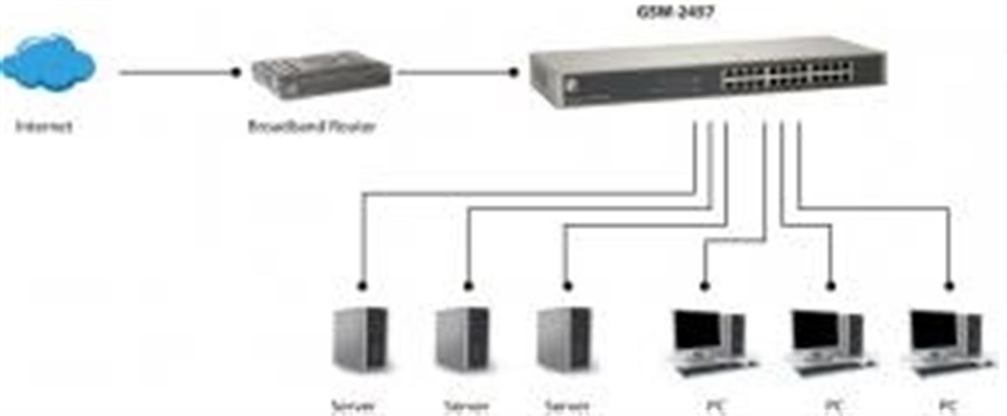LevelOne GSW-2457 Unmanaged Gigabit Ethernet (10/100/1000) Zwart, Grijs