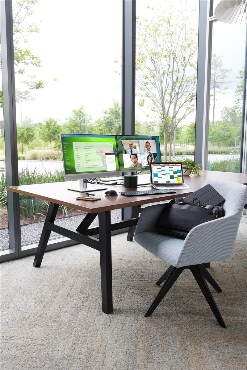 HP draadloze Premium muis