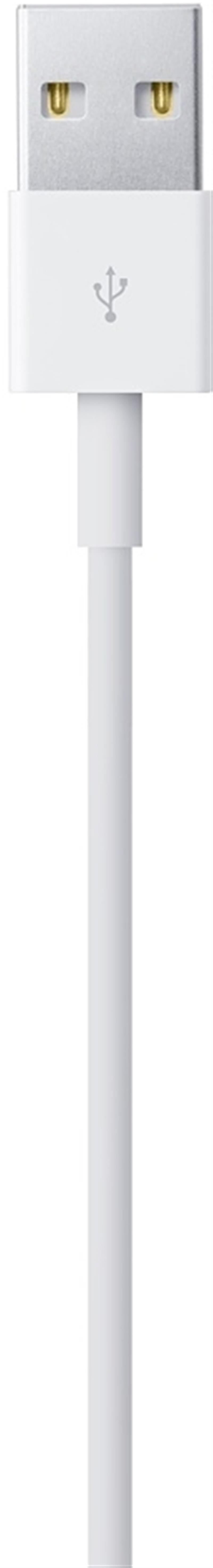  Apple Lightning to USB Cable 2m White