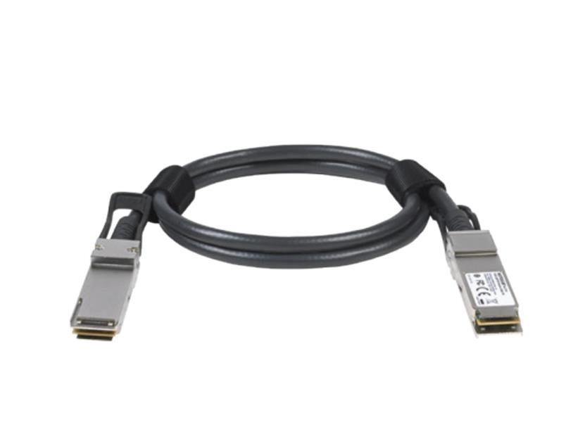 NETGEAR ACC761-10000S Glasvezel kabel 1 m QSFP28 Zwart