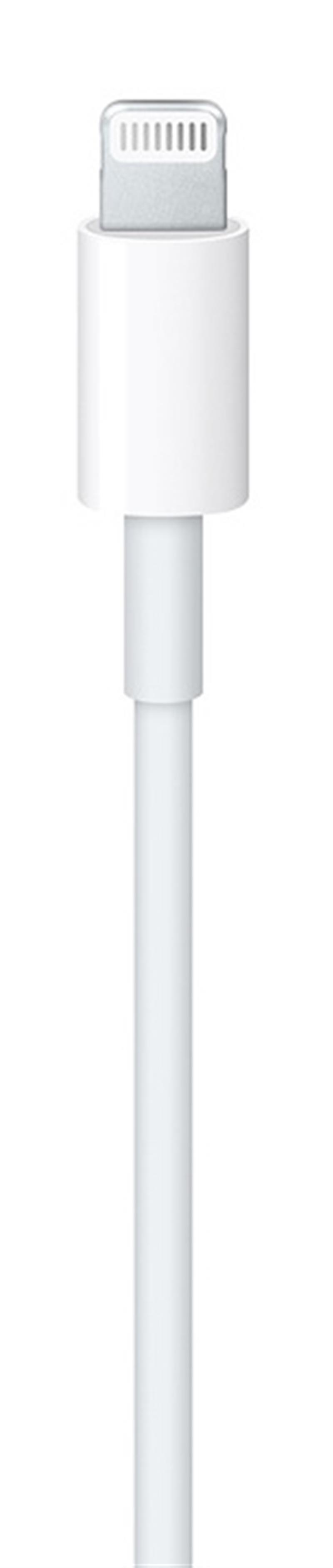  Apple USB-C to Lightning Cable 1m White