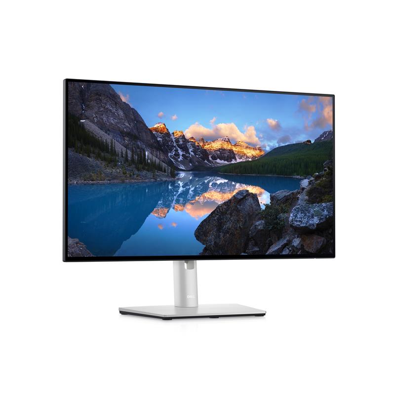 DELL UltraSharp U2422HE 61 cm (24"") 1920 x 1080 Pixels Full HD LCD Zwart, Zilver