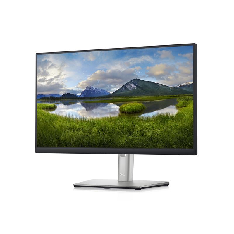 DELL P2222H 54,6 cm (21.5"") 1920 x 1080 Pixels Full HD LCD Zwart, Zilver