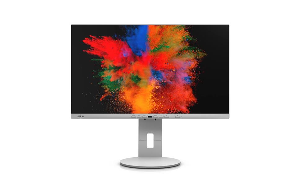 P2410 TE - LED Monitor - 23 8 inch