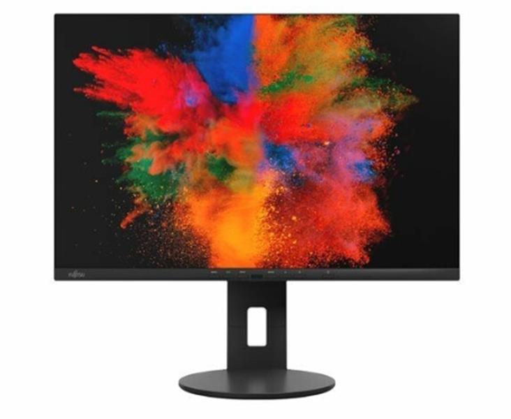 P2410 WS - LED Monitor - 24 inch