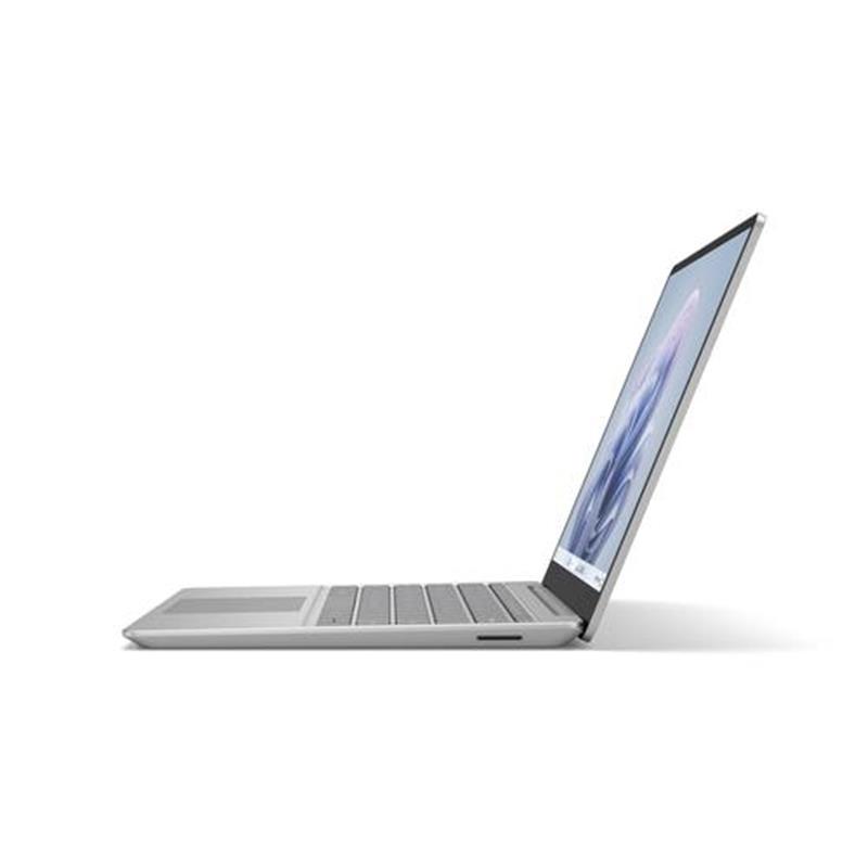 LPTP Go3 i5 8 128 W11 QWERTY Platinum