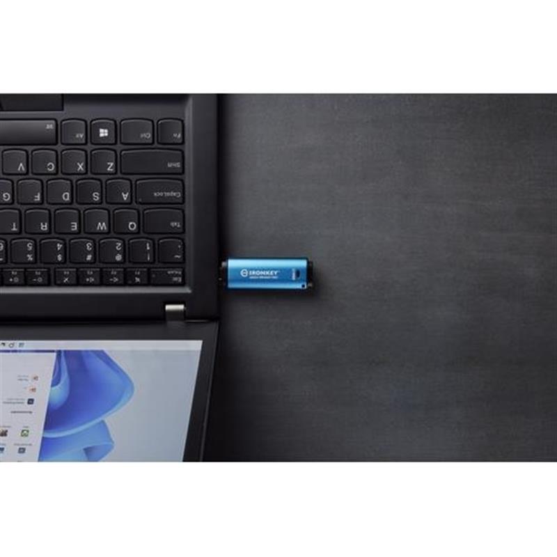 256GB USB-C IronKey Vault Privacy 50C