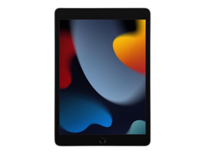 APPLE 10 2 iPad 9th Wi-Fi 256GB SpGr