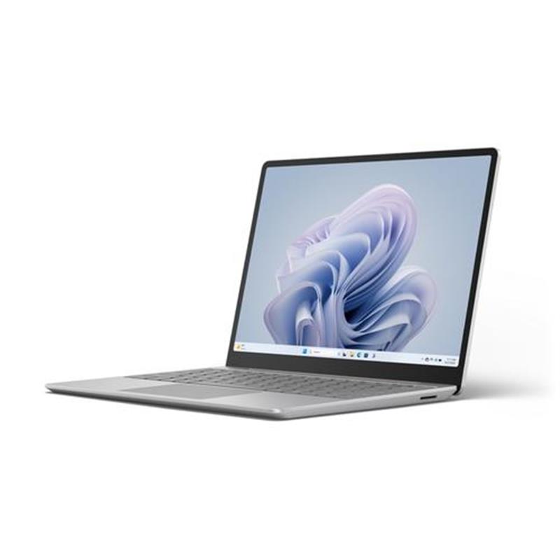 LPTP Go3 i5 8 128 W11 QWERTY Platinum