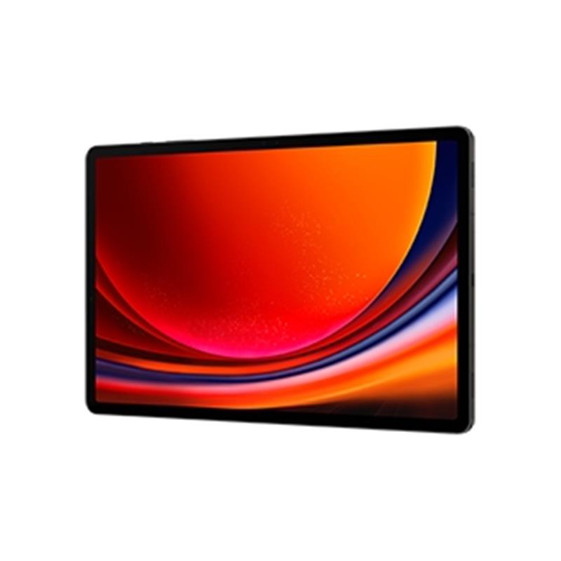 Samsung Galaxy Tab S9+ SM-X810N 256 GB 31,5 cm (12.4"") Qualcomm Snapdragon 12 GB Wi-Fi 6 (802.11ax) Android 13 Grafiet